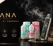 LANA電子煙風味美學：質感生活與霧化體驗